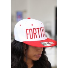 FORTITUDE snapback  white/red  hat cap baseball  Delta Sigma Theta inspired  eb-93551058